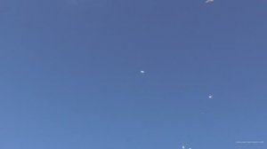 В гостях у Игоря Рязань гон молодых ленинаканских, турецких, бакинских голубей часть2