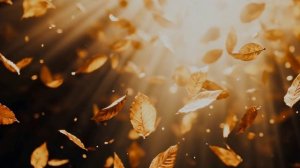 Я пропою тебе, стихи