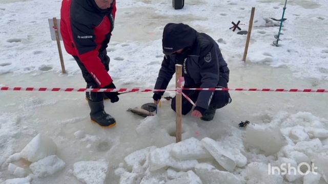 4336.mp4 смотреть онлайн