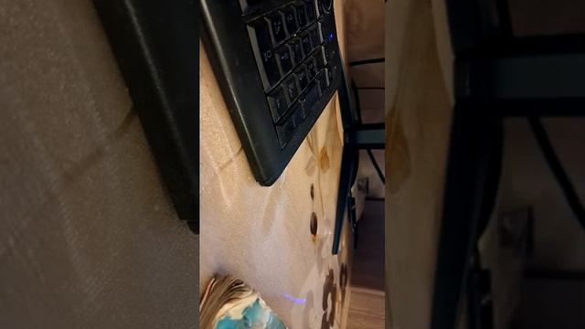 24-01-2026 смотреть онлайн