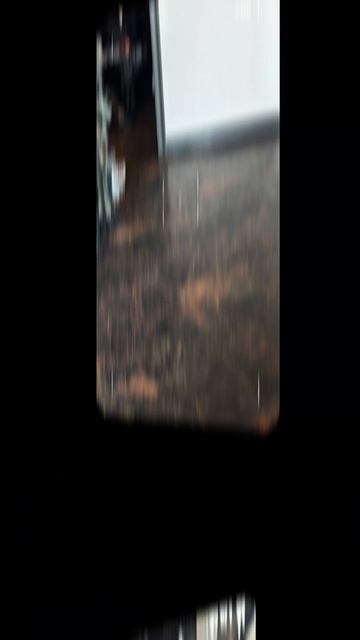 Harvey & Monica 2026 смотреть онлайн