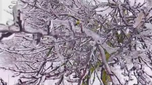 Обледенения в южных районах 24.01.2026