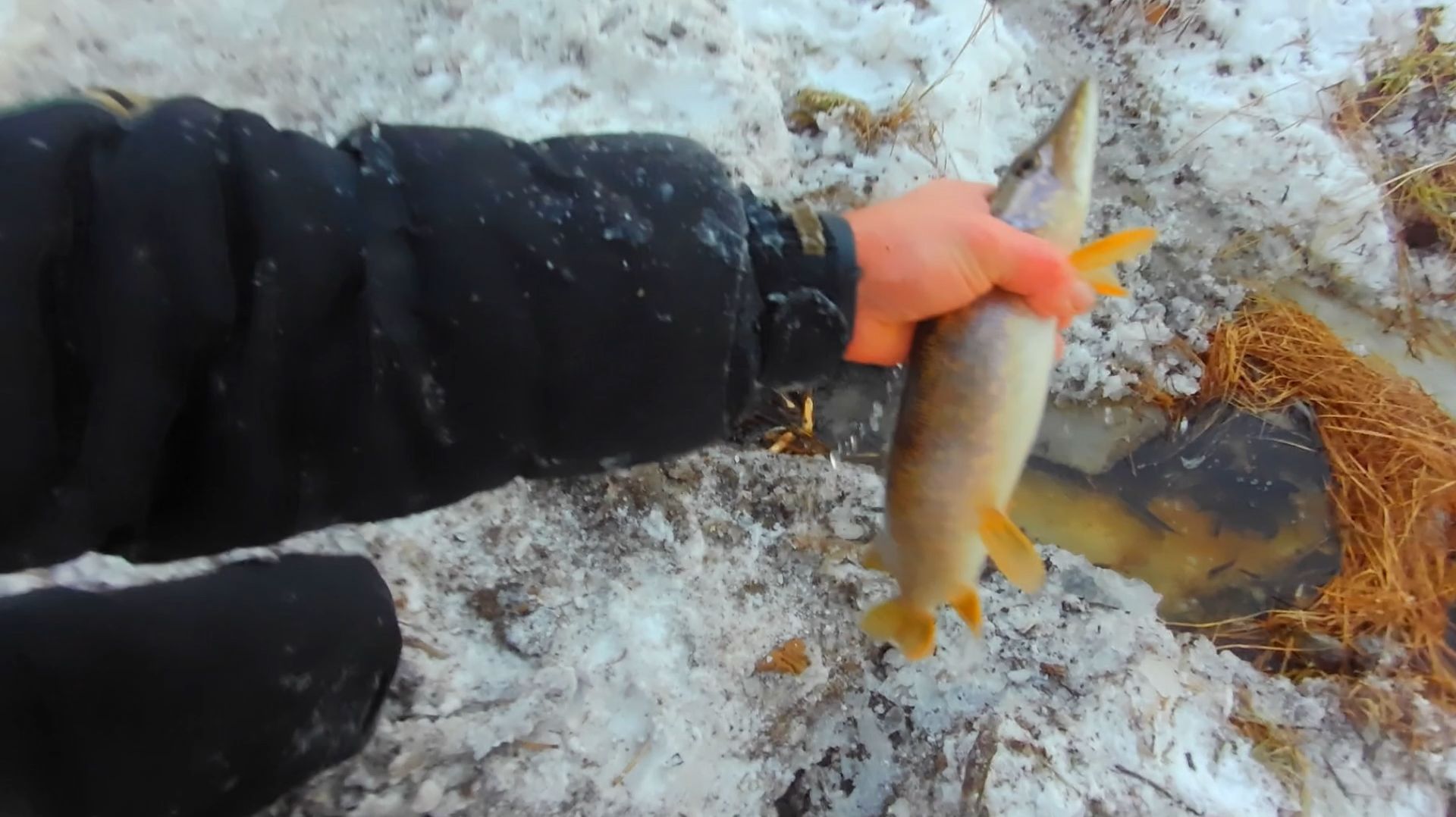 До темна спасал рыбу от замора часть 4 смотреть онлайн