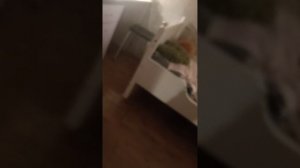 VID20260124200053.mp4