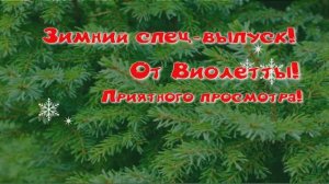 ЗИМНИЙ ВЫПУСК, ВИОЛЕТТЫ!!! (СНЯТ 5 ЯНВАРЯ 2025 Г.)