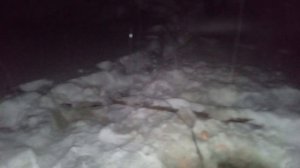 за карасями