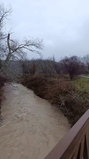 Река Сукко в ЖК Кипарис 24 Января 2026 года. Репортаж Светланы Тихоновы. смотреть онлайн