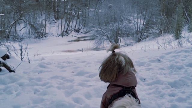 Король севера! смотреть онлайн