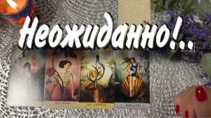 ТАРО РАСКЛАД☘️❤️ Боже! КАКОЙ НЕОЖИДАННЫЙ ФИНАЛ!!