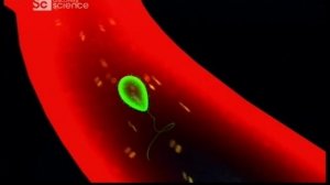 Странные связи 20 серия (документальный сериал, 2008)