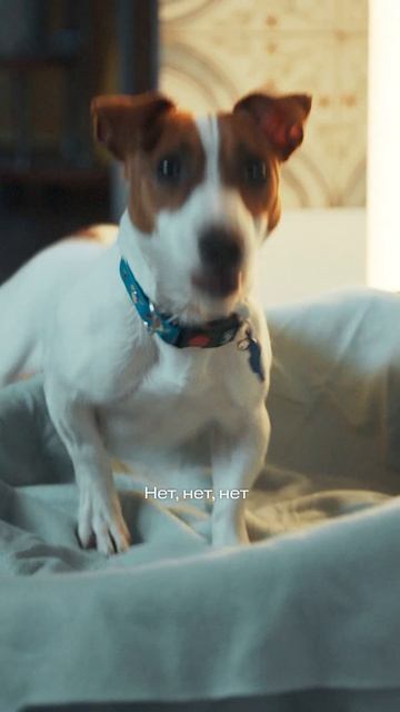 Приснилось страшное 😨 смотреть онлайн