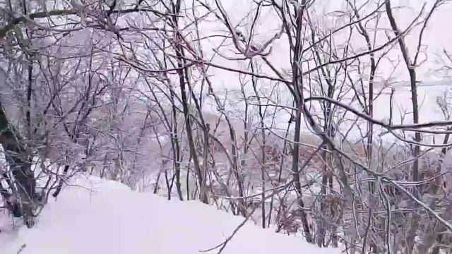 Обледенения в южных районах смотреть онлайн