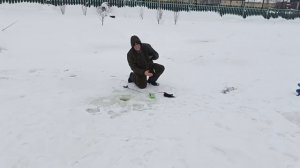 VID_20260124_102840_667