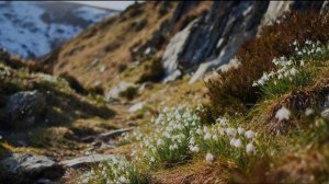 Анатолий Бабушкин Мой приют