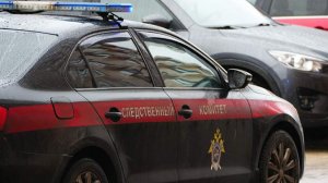 СК завершил расследование дела причастного к гибели Анны Прокофьевой боевика