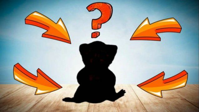 У МЕНЯ ПОЯВИЛСЯ НОВЫЙ ДРУГ! КТО ОН? смотреть онлайн