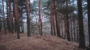 Надейся только на себя!