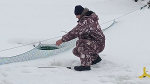 VID_20260124_102848_294