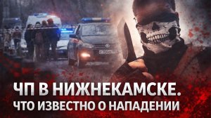 Взрывы и нападение в лицее Нижнекамска : семиклассник с ножом и пиротехникой атаковал школу!