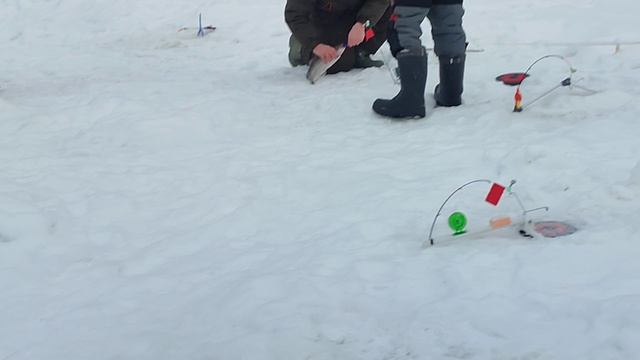 Основной водоём. На пасту. смотреть онлайн