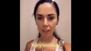 Тарелочницы обыкновенные классические