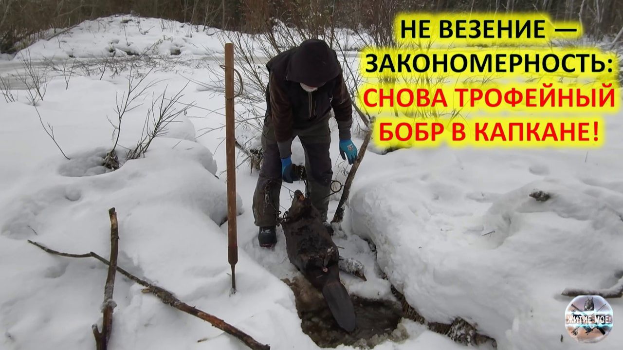 Тот же ход, тот же капкан — и снова король реки смотреть онлайн