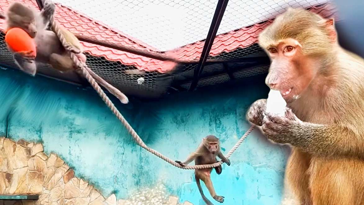 ЛЮСЯ, учи Стёпу писать ПЛОХИЕ слова! Стёпка ОТОБРАЛ мелки, Люся ЗАБРАЛА яйцо! ГОНКИ на канате! смотреть онлайн