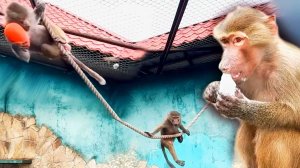 ЛЮСЯ, учи Стёпу писать ПЛОХИЕ слова! Стёпка ОТОБРАЛ мелки, Люся ЗАБРАЛА яйцо! ГОНКИ на канате!