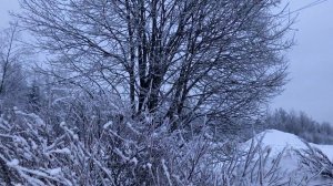 Кто сказал, что зимой некрасиво.