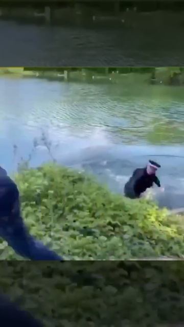 #Бразилия Охрана одной из бразильских тюрем предотвращает попытку побега заключеннных смотреть онлайн