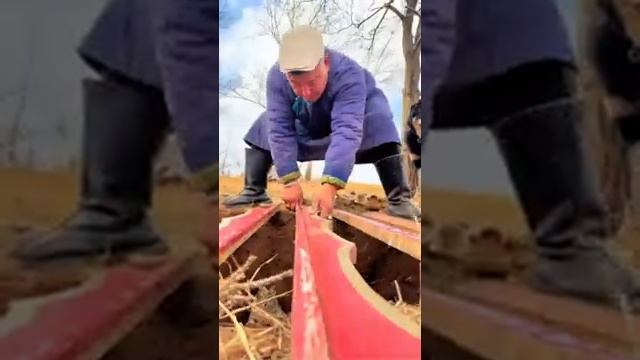 Монголы живут бок о бок с собаками на пастбищах смотреть онлайн