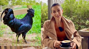 Новый Бизнес Планы | Мы Вернулись | Чем Занимались Во Время Отпуска | Семейный Влог Эгине