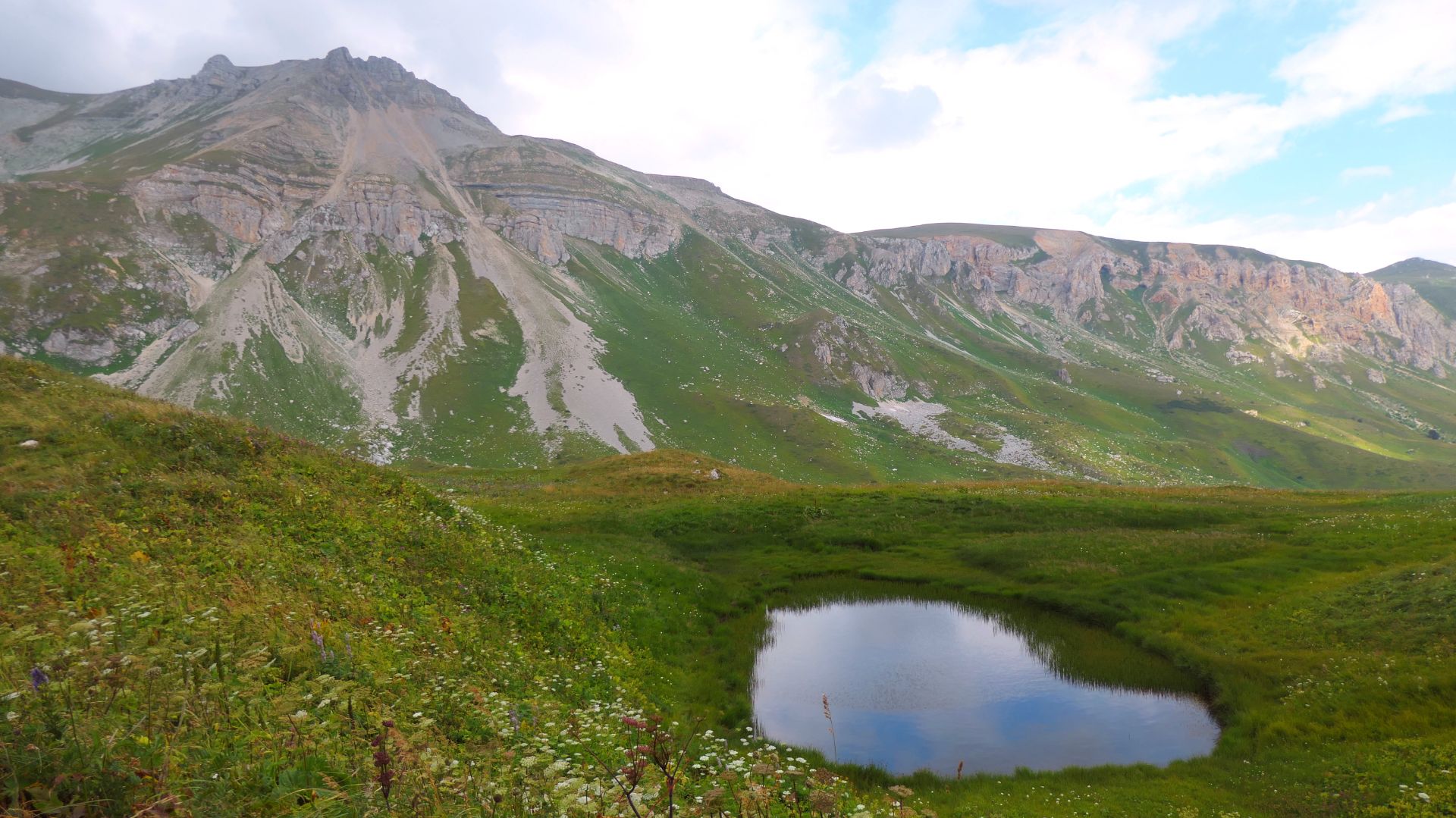 ЛОНО ЦЕЛОГО смотреть онлайн