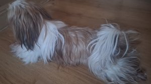 как прошёл мой день