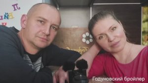 ▶️Стрим 94 Прямой эфир с Годуновским бройлером