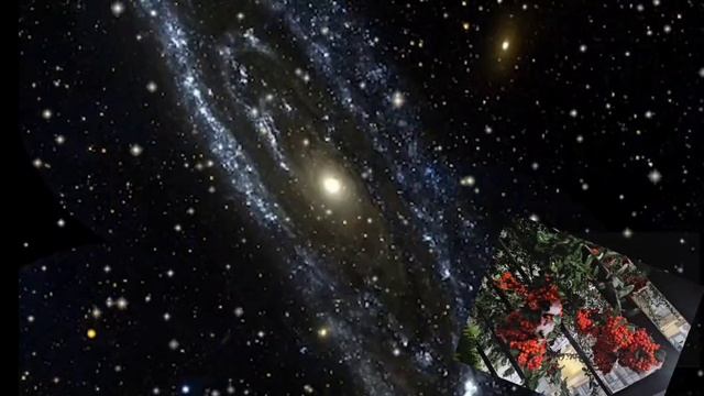 Любимый мой ангел😇для моей Лидочки 💋 смотреть онлайн