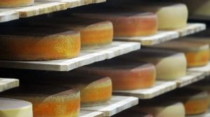 Ученые назвали главную причину повышения холестерина