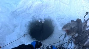 ХОРОШИЙ УЛОВ