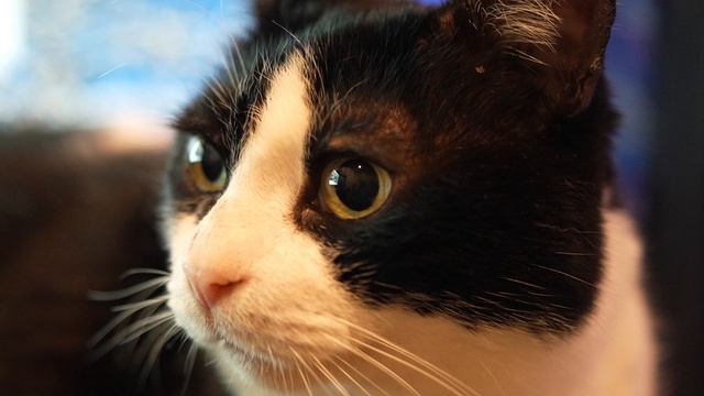 Вам кажется мы спим? смотреть онлайн