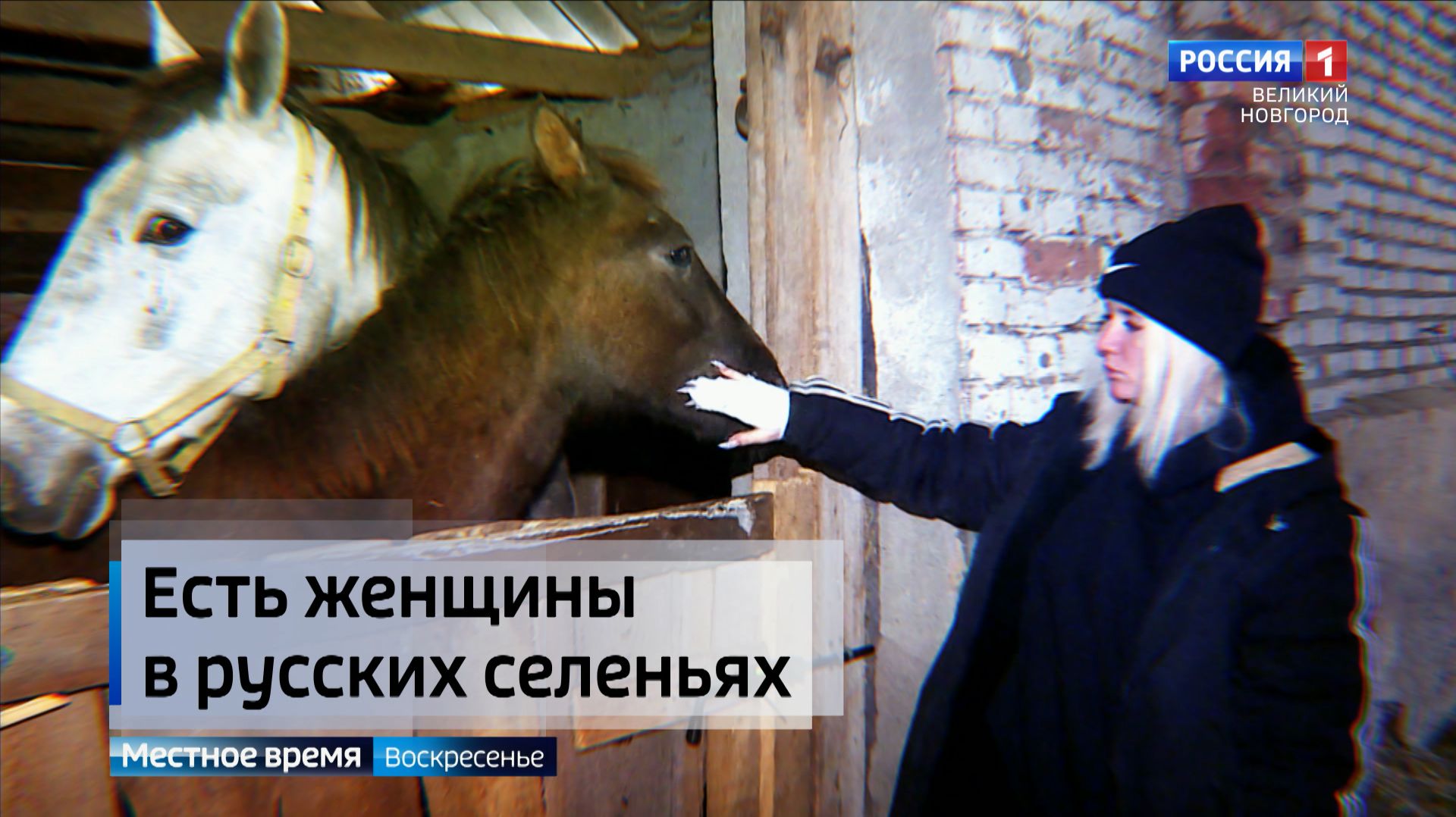 ГТРК СЛАВИЯ Последствия пожара на конюшне в Боровичах 25.01.26 смотреть онлайн