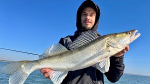 Ловля судака в коряжнике на водохранилище в разгар лета! Тонкости и проблемы на рыбалке.