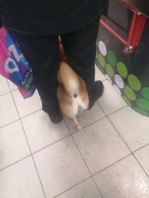 Разговариваю с друзьями