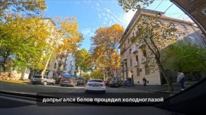 История из жизни  " Цыганка "