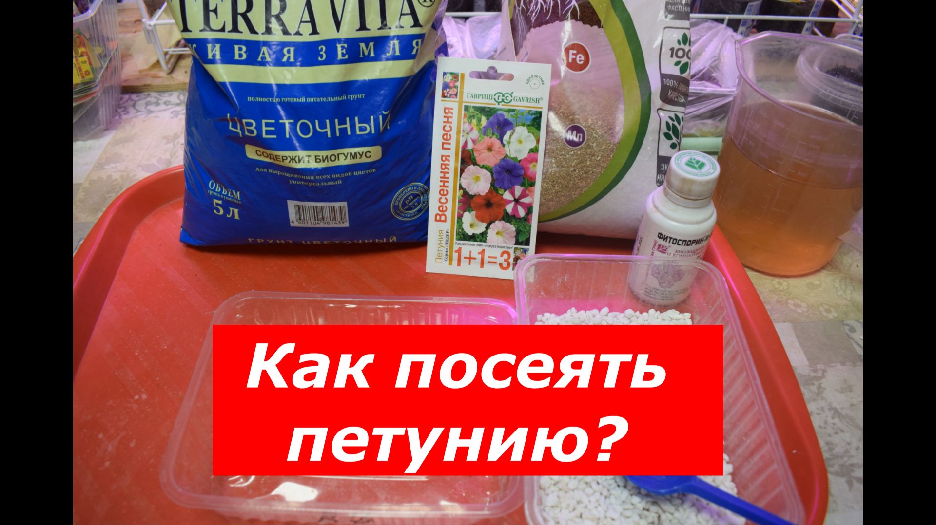 Посев петунии на снег: пошаговый мастер-класс для идеальных всходов. смотреть онлайн