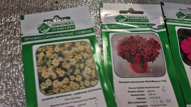 НОВЫЕ СОТРА АМПЕЛЬНОЙ ПЕТУНИИ ДЛЯ НОВОГО СЕЗОНА 2026 смотреть онлайн