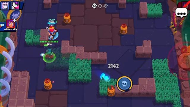 мипл+нокаут=easy win! смотреть онлайн