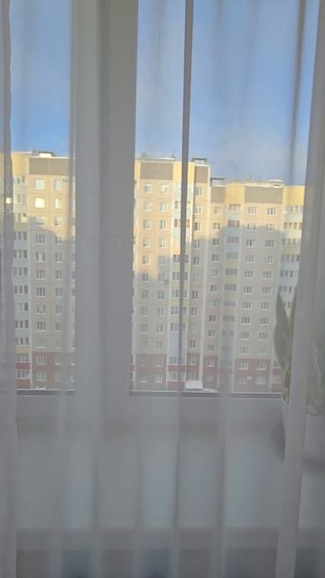 всеволожск 22