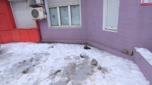 Любашины будни,едем ветлечебницу с Алисой ‼️