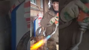 приготовление голову барана с ногами