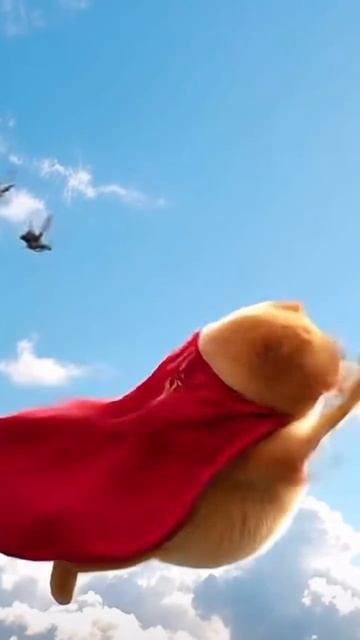 Кот смотреть онлайн